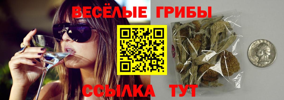 Великий Устюг  Галлюциногенные грибы ЛСД  Вход с VPN 
